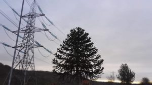 Pylons and Trees, Leeds Road