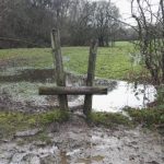 Squelch: alongside Pudsey Beck
