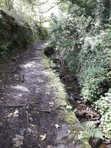 View along Denholme Beck