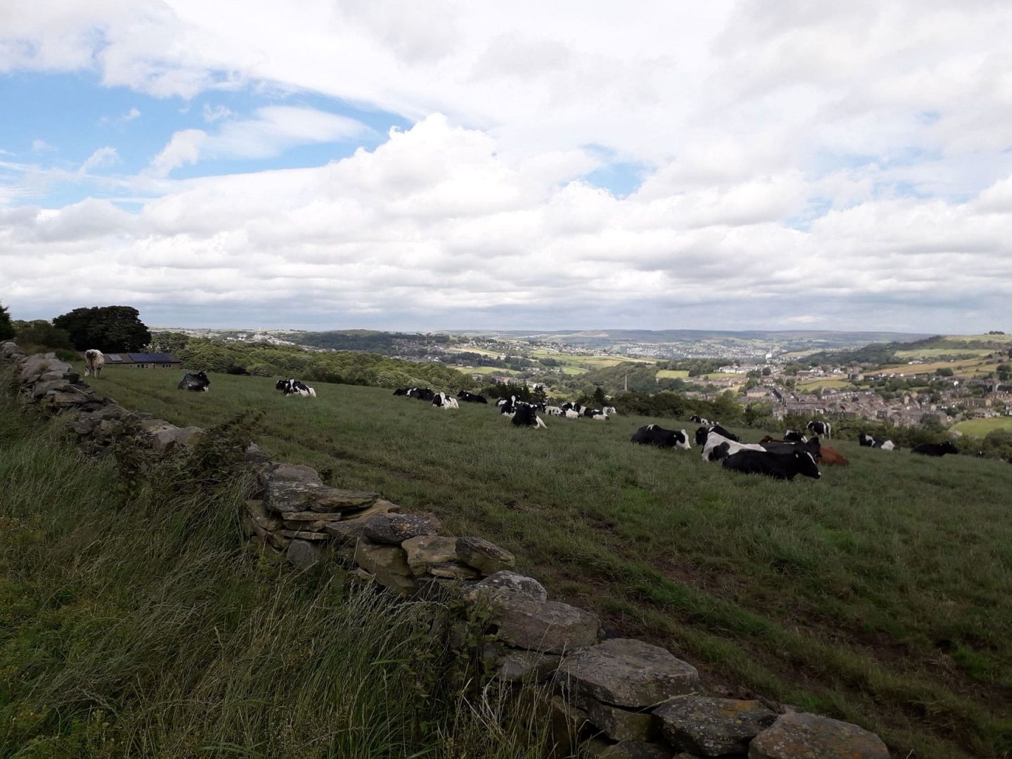 View towards Howarth