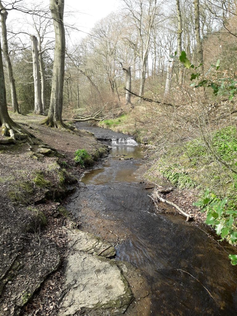 Calder Way Coley Beck