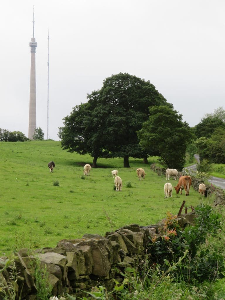 Emley Moor Kirklees