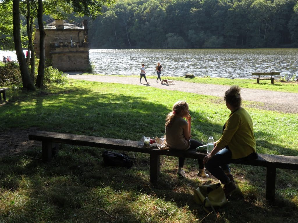 Newmillerdam Country Park