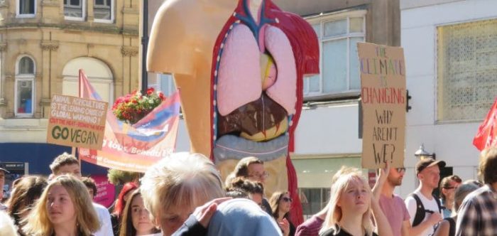 Leeds Climate Strike 2019