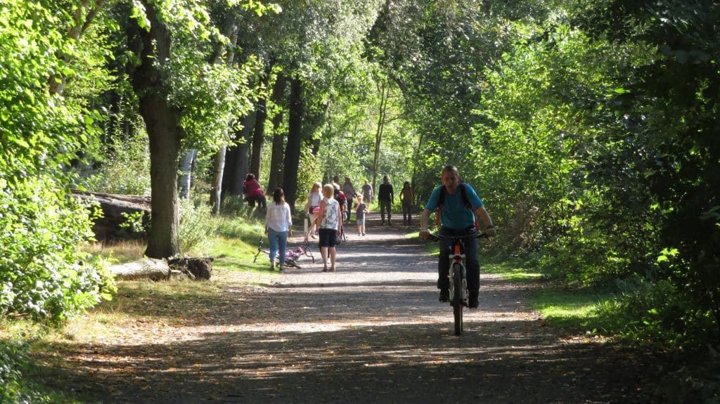 Newmillerdam Country Park Path