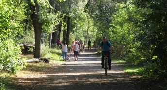 Newmillerdam Country Park Path