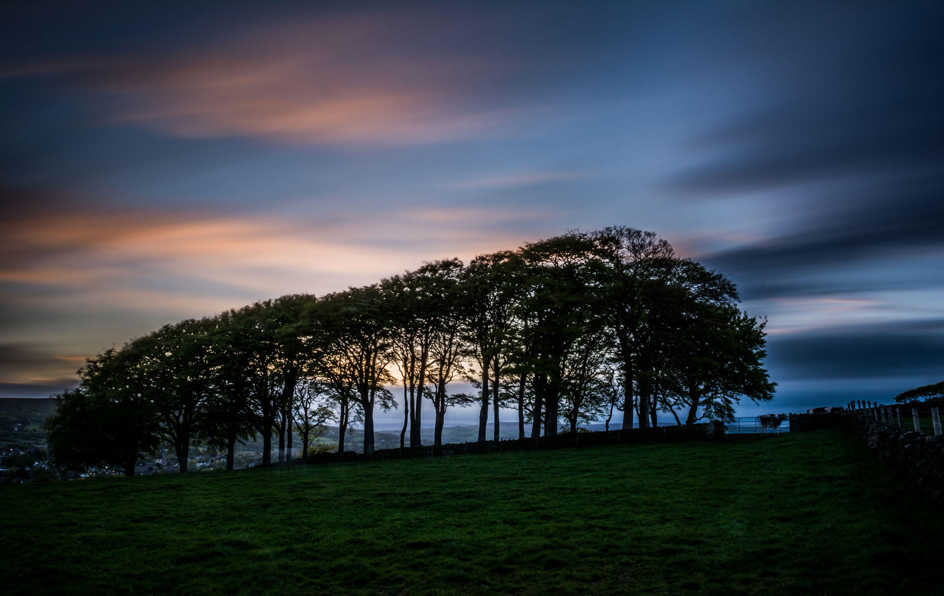 Aireborough Trees. Photo Credit: Darren Sanderson Photography