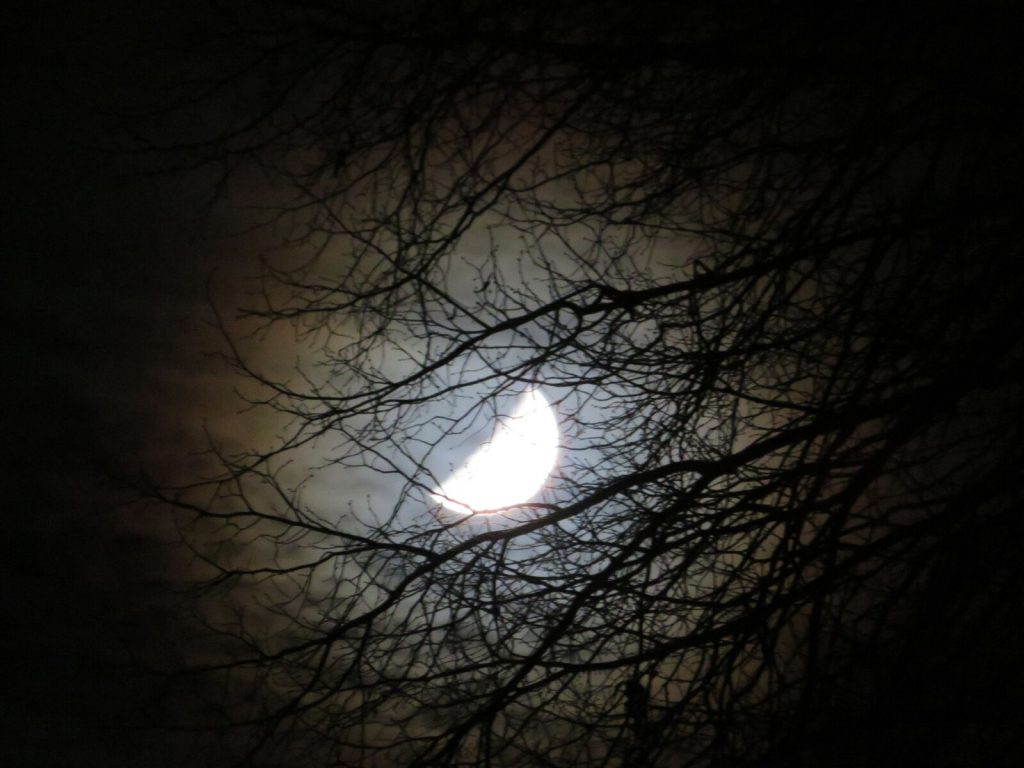 Dark Sky