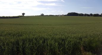 Stockeld Site