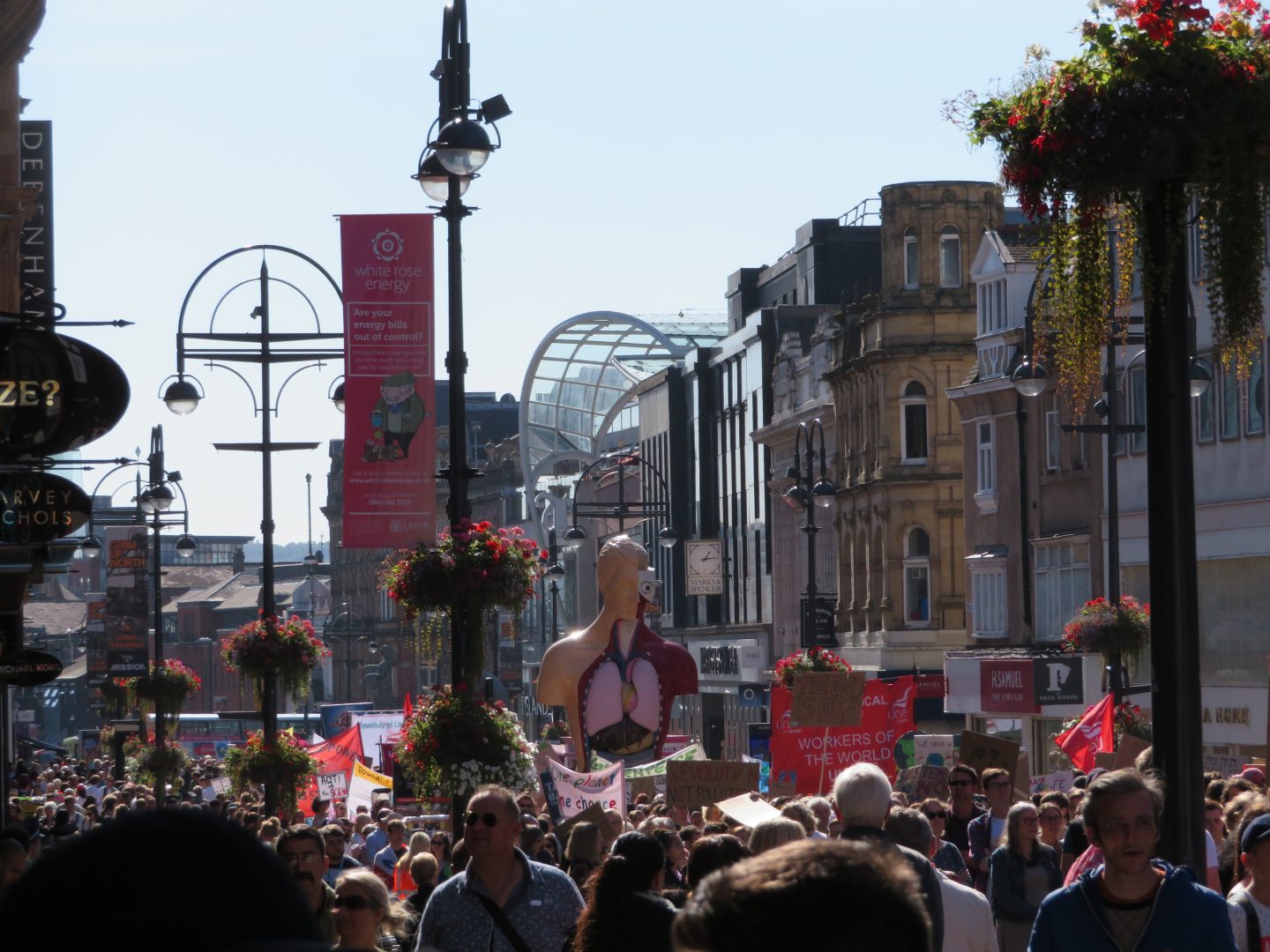 Climate Strike, Leeds, 2019