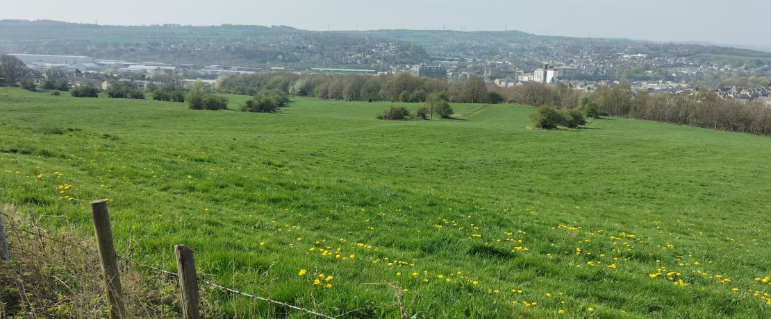Cifton, Brighouse - green belt land, proposed strategic extension
