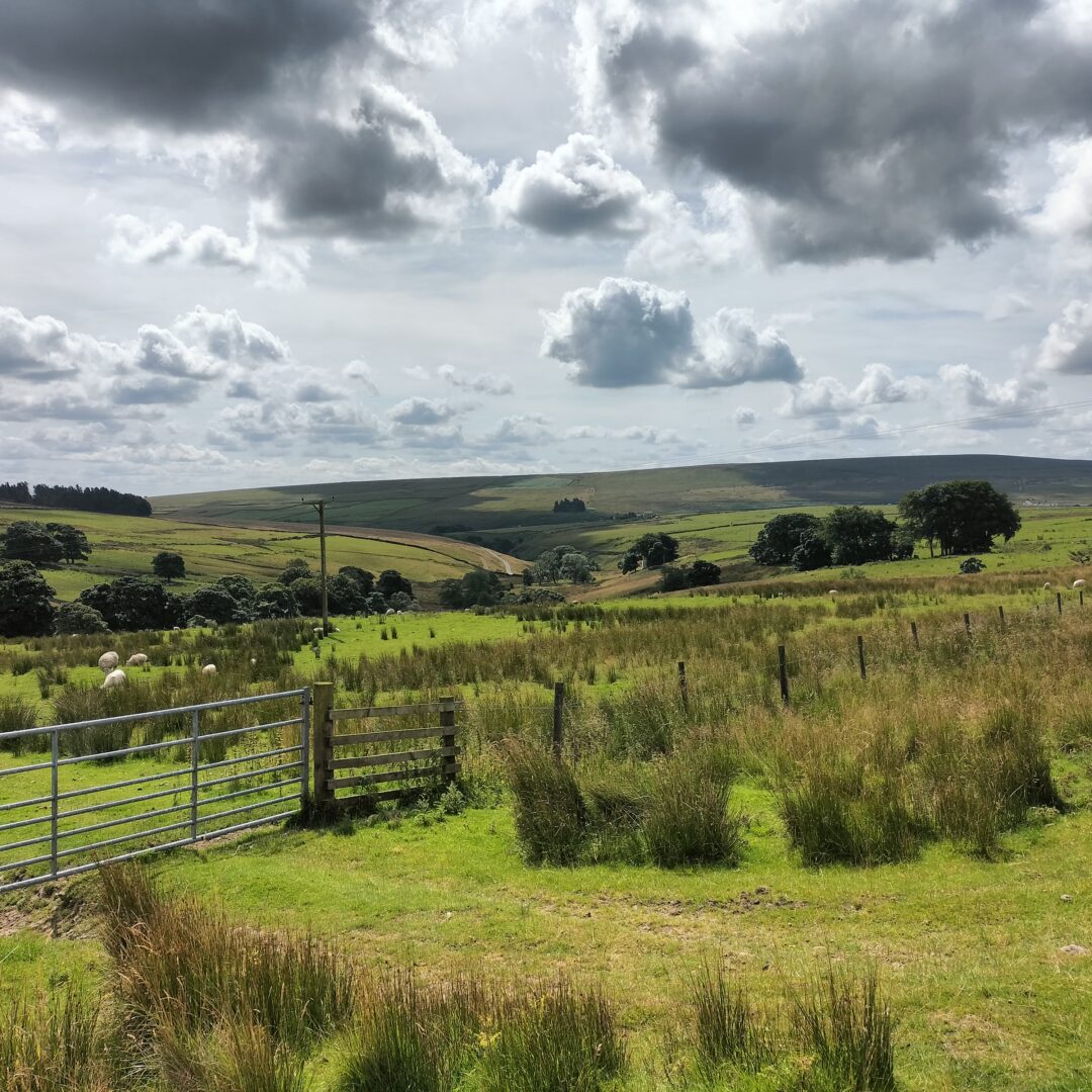 Walshaw Moor wind farm location