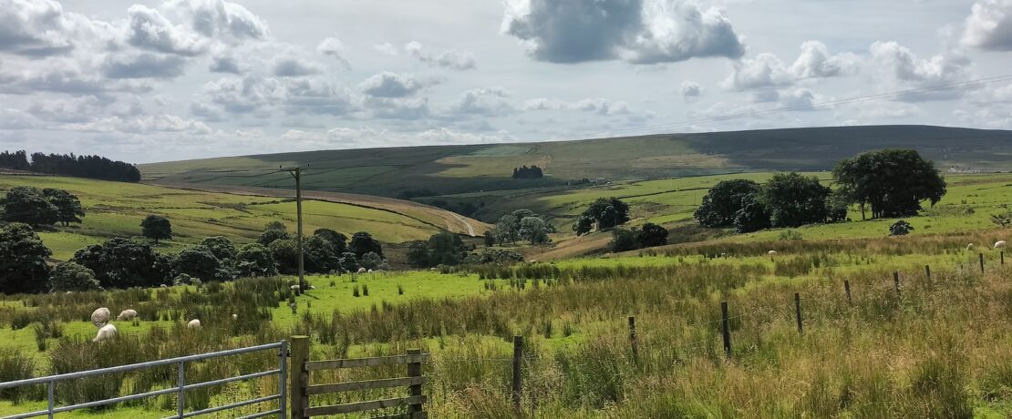 Walshaw Moor wind farm location